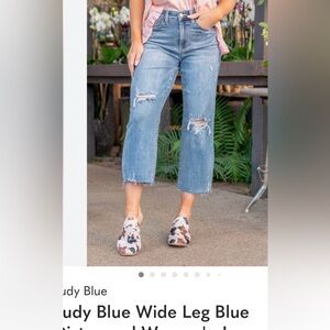 Judy Blue Women's Jeans light wash(see chart in photos for the best size.